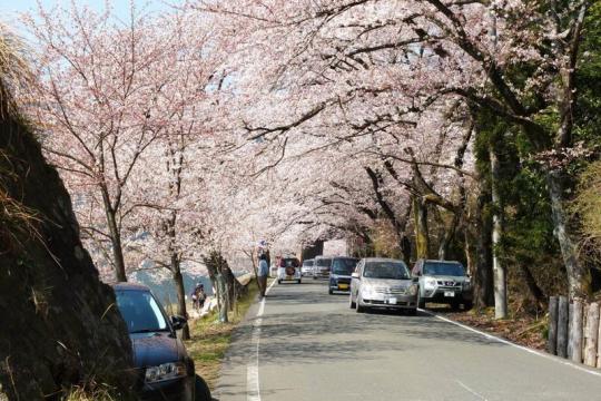 海津大崎と竹生島
